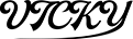 温州维琪光学有限公司